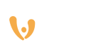 VIVEO SERVICES
