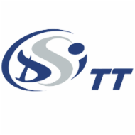 Logo de l'entreprise DSI TT